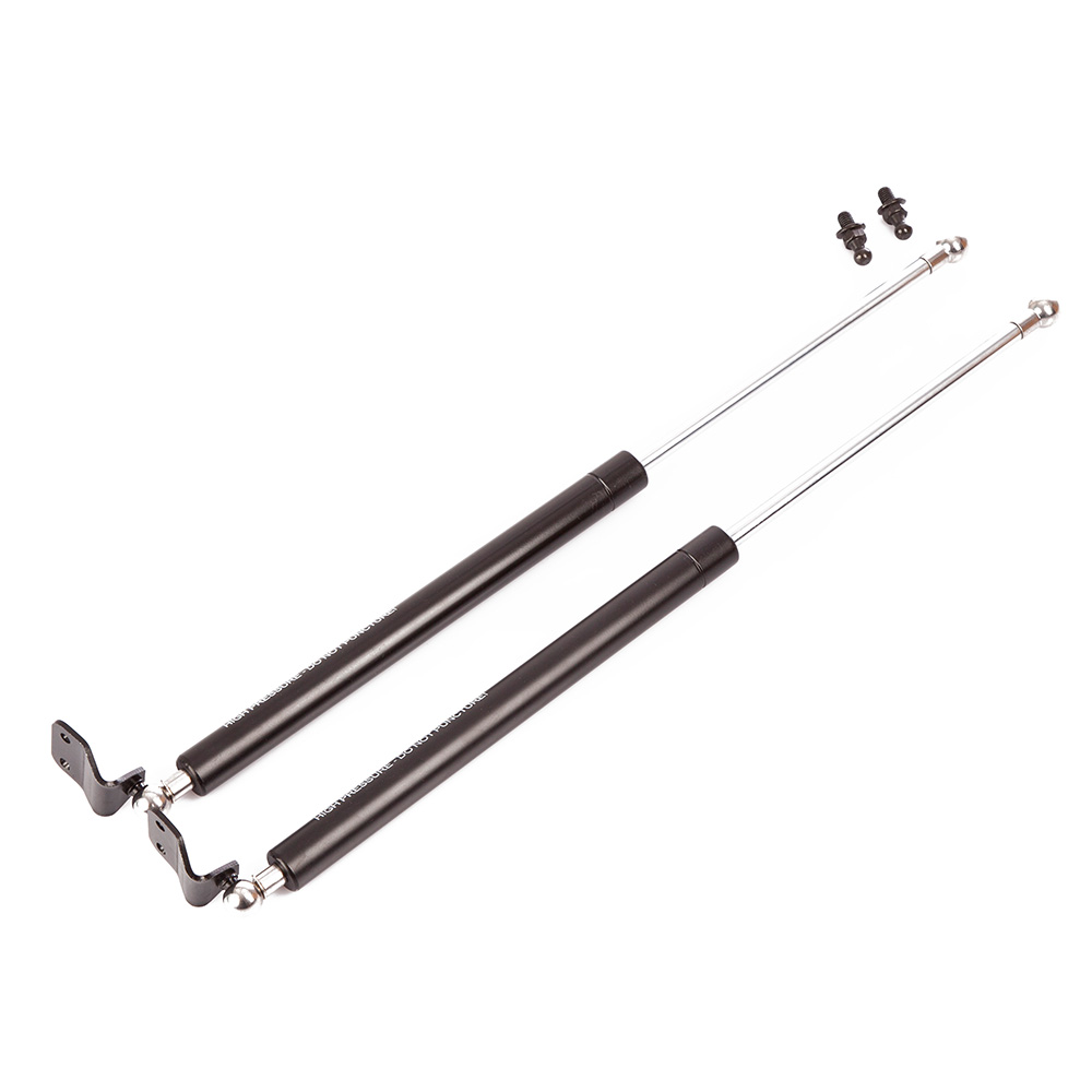 Rear Hatch Struts Rear Hatch Struts