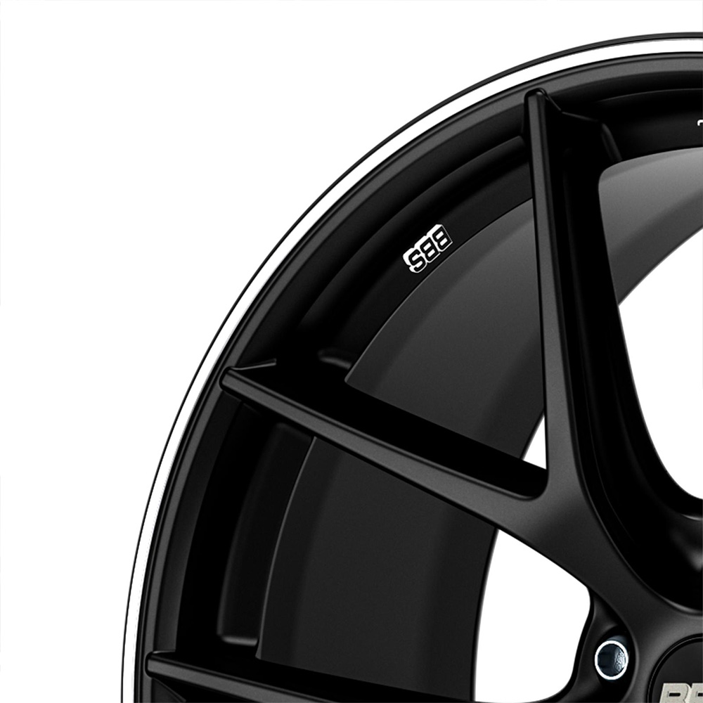 BBS Anfahrschutz 19" Edelstahl (4 Stk.)